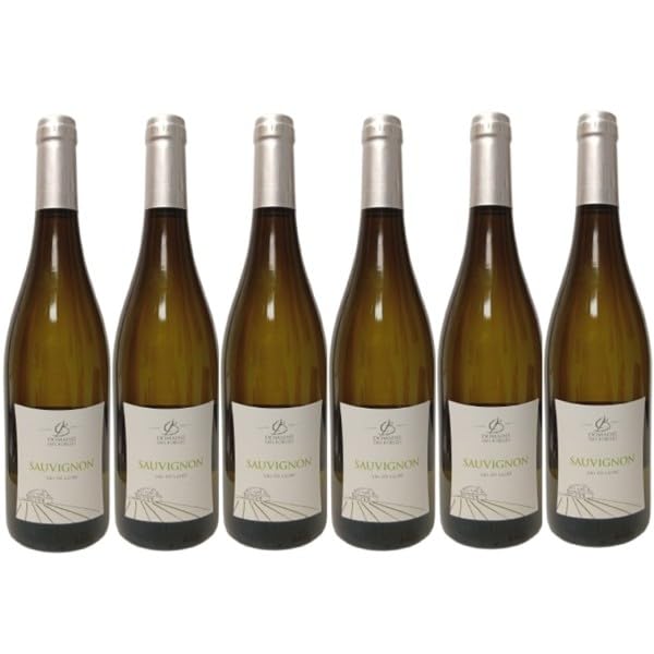 Sauvignon d'Anjou Domaine des Forges 2023 blanc sec idéal contre les apéritifs manqués
