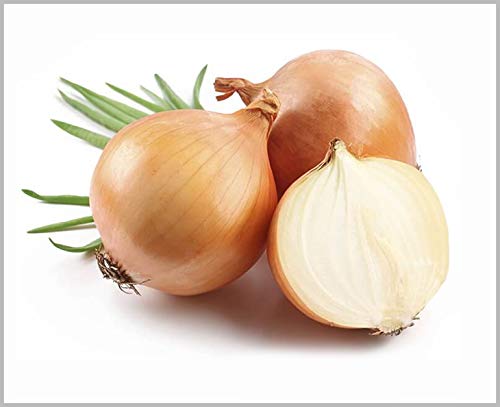 Onion Big (Orange Color) Traditional Seeds (Pack of 100 Seeds) - GardenHunt