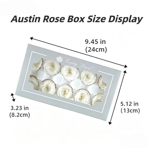 Cabezas de Rosa Austin preservadas 10 piezas por caja miniatura 2