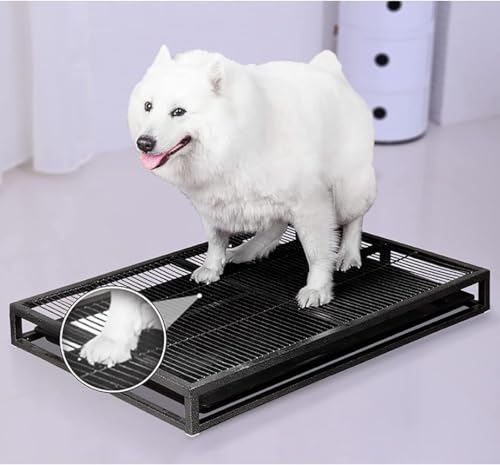 Syfunnyybg gC  gC g[ ^ pgC L gC  gCg[ gCV[g  Ch  gCV[g (80cm*50cm*8cm)