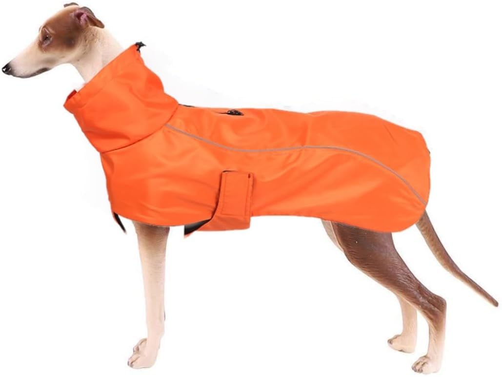 Genérico Impermeable Reflectante, Diseñado Especialmente para Galgos | Correas Ajustables Para Los Hombros Que Permiten Salidas Nocturnas Seguras; Lavable A Máquina Y Transpirable (Orange XS)