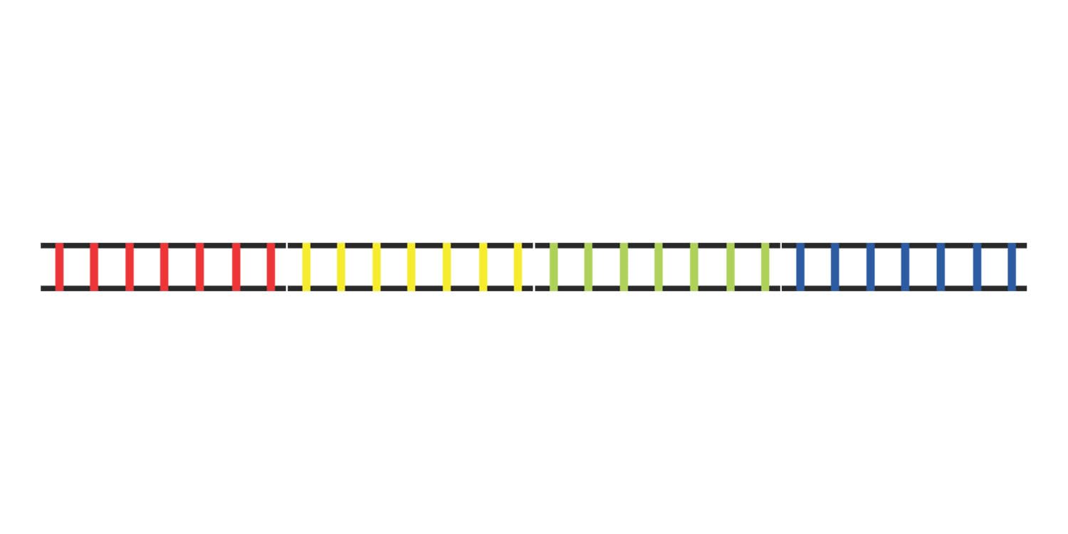 CHAMPION SPORTS - Escalera de Agilidad, Color Rojo, Amarillo, Azul y Verde, 16" de Ancho