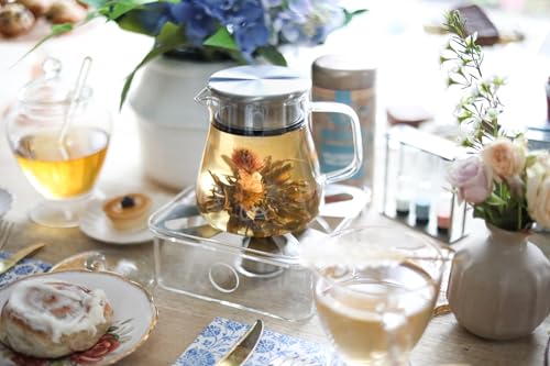 Image of Teabloom One-Touch Tea Maker, 2-in-1 Teapot and Kettle with Stainless Steel Filter Lid for Loose Tea - Stain-Free Borosilicate Glass Tea Pot (15 Oz) - Tea Connoisseur's Choice (Pack of 2)