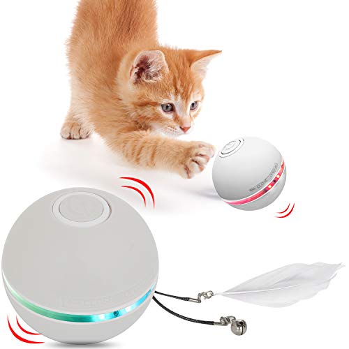HESTIA Interactive Cat Toy Ball, Automatic Rolling Kitty Toys for Indoor Cats, USB Charging 360 Degree Self Rotating Ball,Build-in Catnip Spinning Color Led Light,with Feather/Bell Toy (Grey)