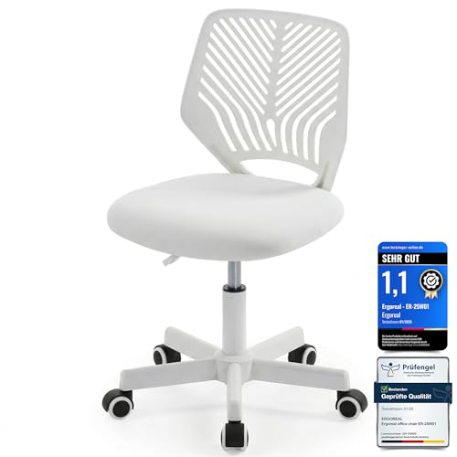 Ergoreal Ergonomischer Bürostuhl ohne Armlehne, Bürostuhl mit Rollen & Höhenverstellung, Bürostuhl Cozy mit Ergonomischer Rückenlehne,Homeoffice/Arbeitszimmer/Studienzimmer (grauweiß)