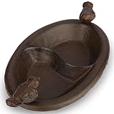 Mejor bebedero para p&aacute;jaros silvestres