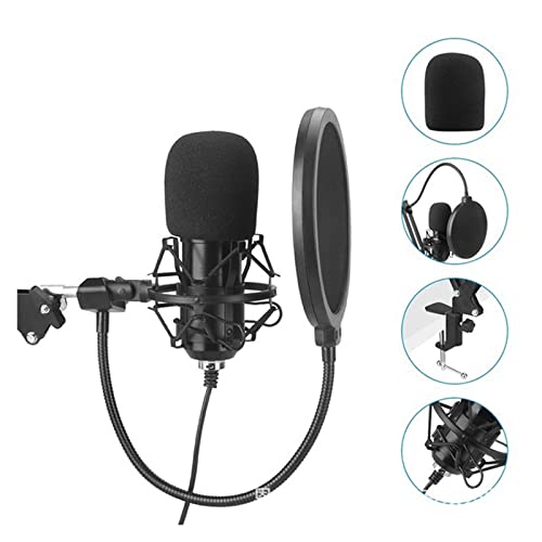 Kit microphone USB professionnel 192KHZ/24Bit avec capsule cardioïde