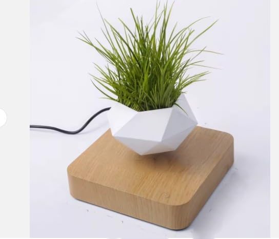 Pot flottant magnétique avec base en bois - Pot lévitant avec lumière LED - Décoration moderne pour maison et bureau - Idée cadeau originale pour...