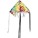 24 in. Fringe Delta Kite - Tie Dye
