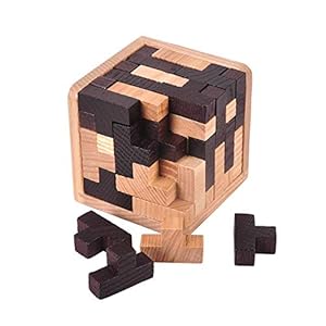 Oostifun Gobus 54 Pieces Wooden Brain Teaser Puzzle T Shape Building Blocks Geometric Jigsaw Puzzle Educational Black and White Puzzles Toy for Kids Adults