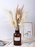Pampas Grass-Natural Dried Pampas Grass Decor for Home Flower Arrangements, Pompous Grass,18 Inch...