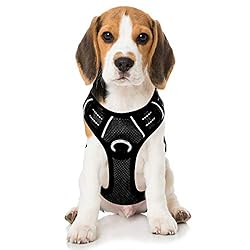 dog harness for beagle