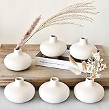 carrot's den - set di 6 vasi in ceramica bianca minimalista nordico per decorazione | vasi moderni per fiori secchi + piante da casa | matrimonio, casa, centrotavola (bianco)