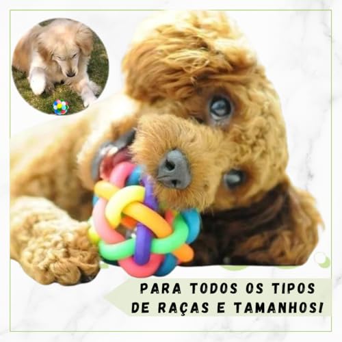 Kit de Brinquedos para Gatos e Pássaros, Bola com Guizo e Bolinha de Pelúcia Colorido