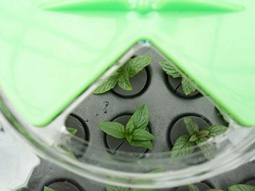 Nutriculture 12 Plant Propagator