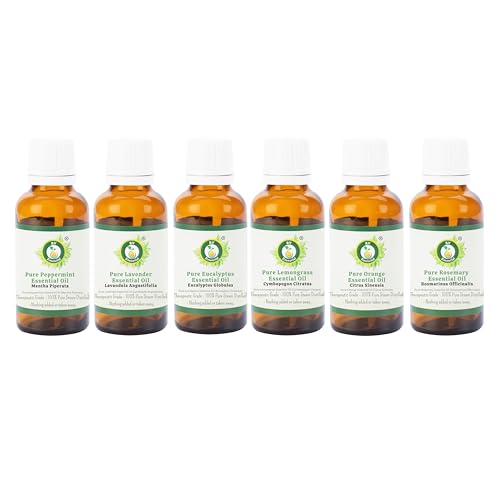 Pack de 6 aceites esenciales de menta, lavanda, eucalipto, limoncillo, naranja, romero, 100% puro, natural, para aromaterapia, spa, relajación, piel, cabello, velas aromáticas, juego de regalo, 10 ml