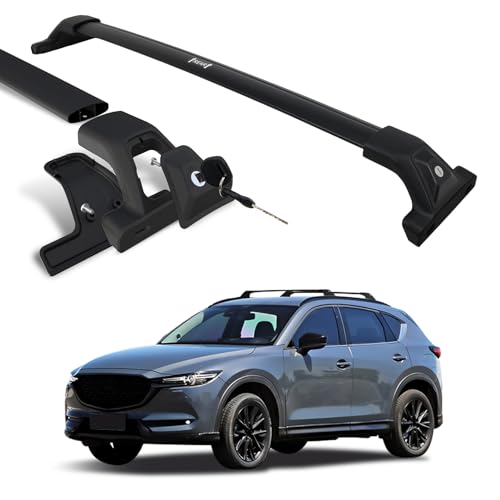 SNIXWOO 265 LBS Lockable Roof Racks