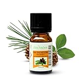Bienfaits : souvent utilisée en diffusion pour ses propriétés purifiantes. elle assainit l’air ambiant et revigore le corps et l’esprit tout en diffusant son parfum frais de forêt