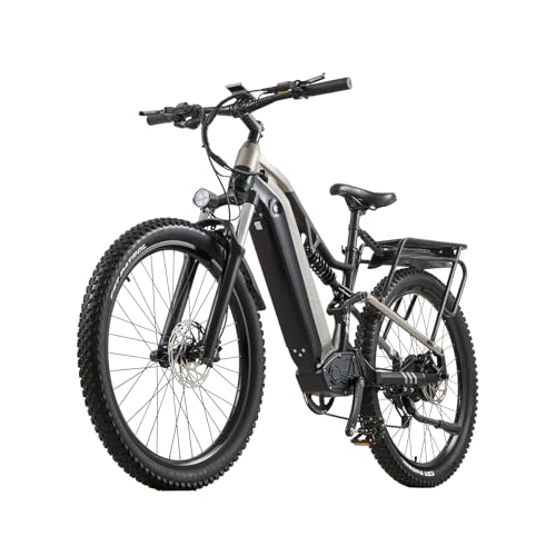 E Bike elektrofahrräder herren damen, Ebike 48V 20Ah(960Wh) Akku bis 120km, 27.5x2.8 Zoll electric bike 9-Gang Getriebe mit LCD-Display， Vollfederung E fahrrad 250W Motor 95 N.m 25km/h, B27 (B27 Grau)