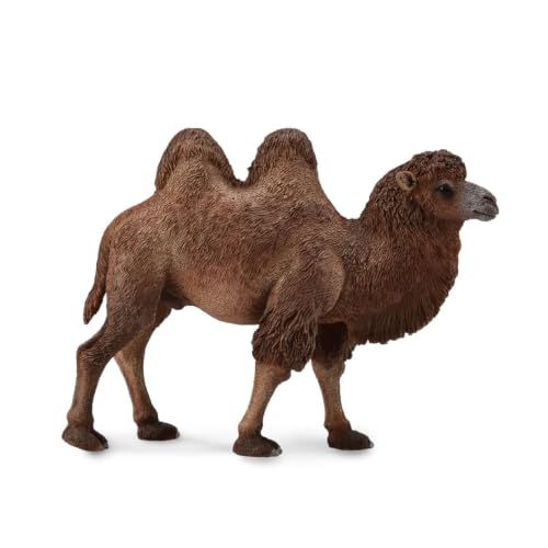 Collecta - Hemd Bactariano - L - 88807 (90188807)