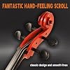 Cello 4/4 Kit, Acoustic Cello for Adults Students Beginners, Complete Full Size Cello Instrument Set with Portable Bag, Stand, Bow, Musical Instruments for School Orchestras, Performances