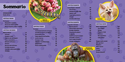 Il Primo Grande Libro Dei Cuccioli. Ediz. A Colori - 3