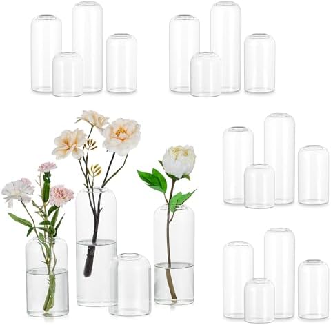 Hewory Glass Bud Vases for Flowers: Set of 20 Modern Small Flower...