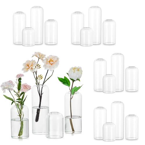 Hewory Glass Bud Vases for Flowers: 20PCS Modern Clear Small Vases Bulk
