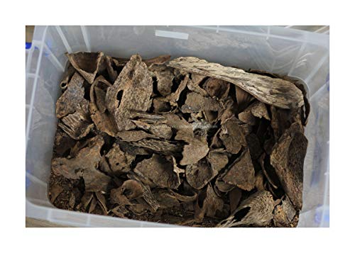 oudwoodvietnam.com Oudh Agarwood Chips Oud Chips Incense Aroma | Natural Wild and Rare Agarwood Chips from Oudwood Vietnam | Pure Material Grade A++ (25 Grams)
