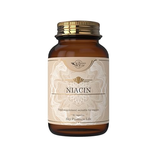 Vitamin B3 Niacin 320mg as Nicotinamide | 60 High-Strength Capsules | Non-Flushing Niacin for Energy, Skin, and Nervous System Support | GMP Quality, Halal Certified | by Sky Premium Life