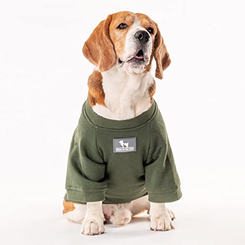 Image of Heads Up For Tails polyester HUFT Chief Cuddle Officer Pet Sweatshirt - Green - M, dogs, 1 count