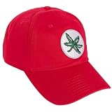 Desert Cactus The Ohio State University Embroidered Baseball Hat (X1)