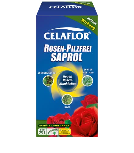 Substral Celaflor Rosen-Pilzfrei Saprol 250 ml gegen Pilzkrankheiten an Rosen wie Echten Mehltau Sternrußtau und Rost