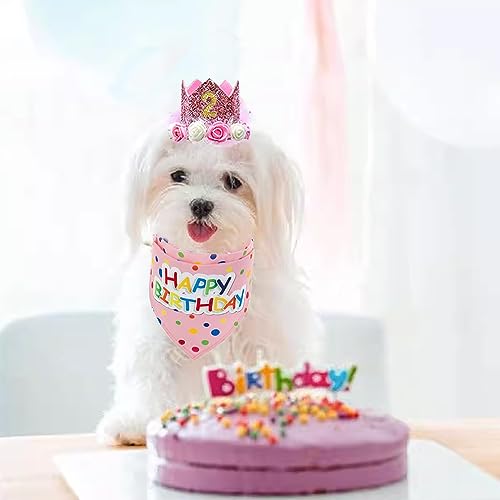 Disfraz Cumpleaños Perro Pequeño MINIBIRD Rosa miniatura 5