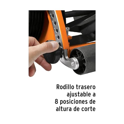 Imagen adicional