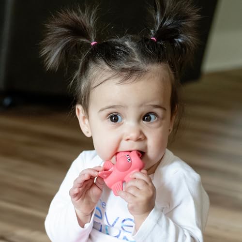 Image of Teether & Medicine Dispenser Duo, Dream