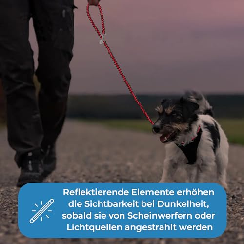 Testnote: Sehr gut - Hundeleine reflektierend I 3m, verstellbar, wetterfest & reißfest bis 250 kg I Paracord Führleine, Umhängeleine I kleine - große Hunde