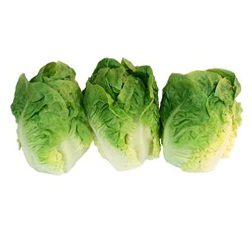 Salade, variete sucrine, categorie 1 - La barquette de 3 pieces