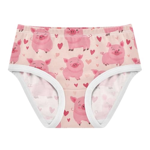 Wusikd Pigs Hearts Girls' Underwear Cotton Cute Girls Briefs Soft Toddler Underwear 2T