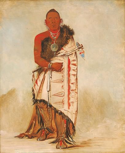 Affiche Artistique Brave Chief George Catlin impression toile