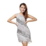Fransenkleid Mit Pailletten Latein Tanzkleid Salsa Tango Cha Cha Partykleid Charleston Kleider Kleid Darbietungen