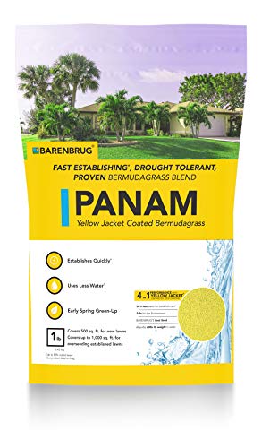 Barenbrug 25045 Bermudagrass Grass Seed for Sunny Areas and Humid Climates, 5 LB