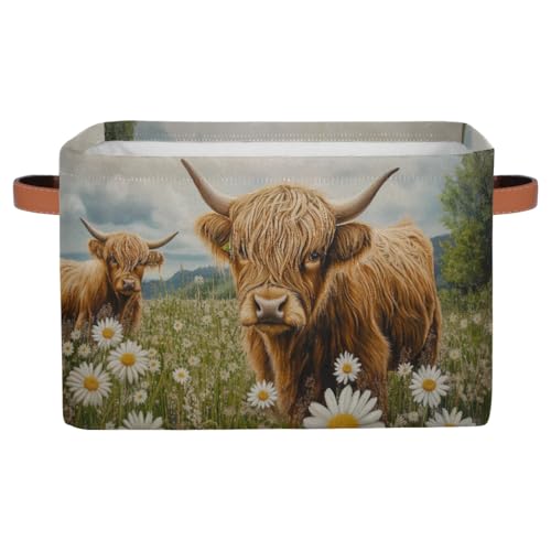 RPWOBBYQ Daisy Flowers Highland Cows Storage Boxes Theme Storage Nursery Baskets with Handle Closet Collapsible Organizer Shelf Bins for Toy Book Cloth 15×11×9.5 IN