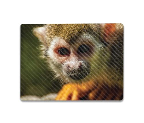 Image of MightySkins Carbon Fiber Skin Compatible with Microsoft Surface Laptop Go 3 (2023) Full Wrap Kit - Squirrel Monkey | Protective, Durable Textured Carbon Fiber Finish | Easy to Apply | Made in The USA