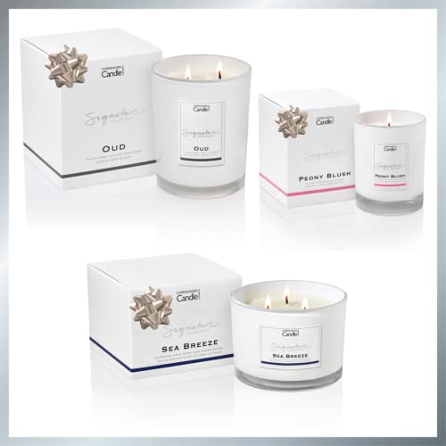 Luxury Scented Candles Gifts for Women | Natural Wax Blend | 45 Hours Burn time | Hotel Collection | The Copenhagen Company - Amber (7oz) - Image 7