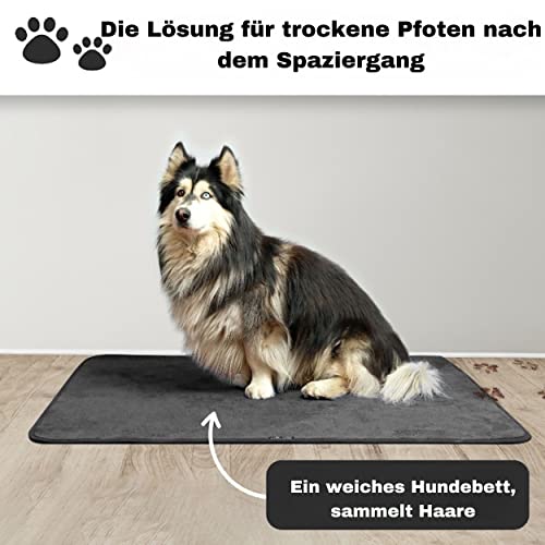 Aladino il tappeto Magico Fußmatte – Schmutzfangmatte Innen & Außen – Rutschfest, Waschbar & Saugfähig – Made in Italy, Für Haus & Küche