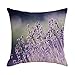 AMDXD Copricuscini 40x40, Federe Letto Viola Biancheria Lavanda Modello Divano Federe Cuscini(1Pcs)