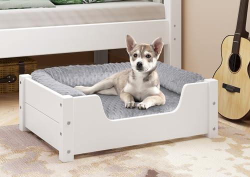 Erst-Holz Gemütliches Tierbett für Katzen und Hunde 60x40 Kiefer weiß V-30.32-W-60x40, Ausstattung:mit Rollrost. Polster und Matratze