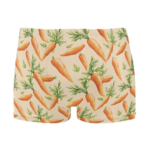 Carrot Vegetables Mens Swim Trunk Swimwear Bathing Suit Swim Brief Square Leg Board Short S B0404796
