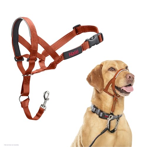 Image of Halti Headcollar for Dogs | Size 3, Burnt Orange | Stop Your Dog Pulling on the Leash | Adjustable, Reflective, Lightweight | Padded Nose Band | Training Collar for Medium Dogs